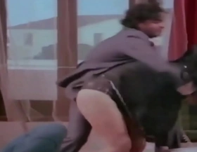 Bolly actress very hot upskirt panty show from old movie